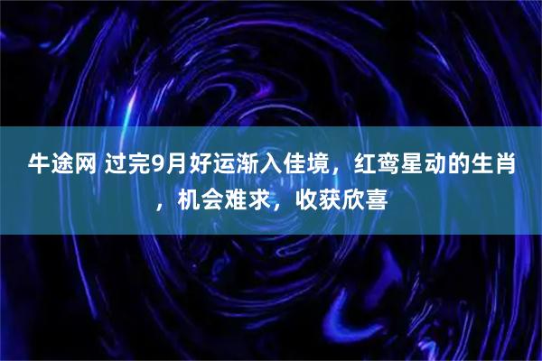 牛途网 过完9月好运渐入佳境，红鸾星动的生肖，机会难求，收获欣喜