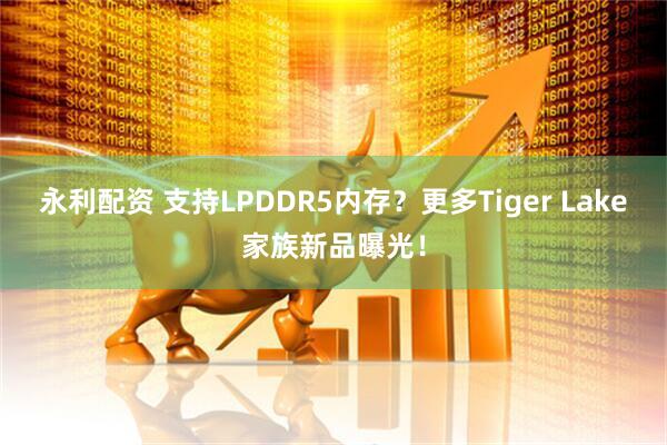永利配资 支持LPDDR5内存？更多Tiger Lake家族新品曝光！